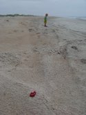 Graham at the beach &middot; Ocracoke Island, NC &middot; August 11, 2009 &middot; Tim Graves