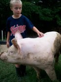 JR Farmer Sam &middot; Belly Acres Farm MD &middot; August 21, 2008 &middot; Darren Guzzone