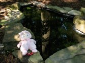 Baby Sarah - Ryan’s Pond &middot; Alexandria VA  &middot; July 1, 2008 &middot; Ryan’s Mom