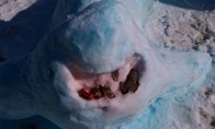 Snow Shark &middot; Kansas City, Missouri &middot; April 12, 2011 &middot; Stephanie Fein