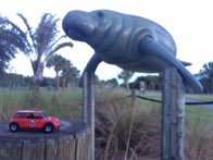 Manatee Park &middot; Cocoa Beach, Florida &middot; July 14, 2016 &middot; Ryan’s Mom
