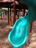At the park &middot; Indianapolis, Indiana &middot; May 4, 2011 &middot; Emily Stemmerich