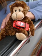 MINI with Monkey &middot; Arizona &middot; April 23, 2011 &middot; Emily Stemmerich