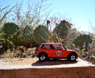 Prickly Pears &middot; Albuquerque, New Mexico &middot; October 17, 2010 &middot; Ryan Marie Younis