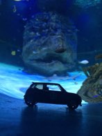 20K Leagues &middot; Orlando, Florida &middot; July 16, 2016
