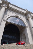 Natural History at it’s best &middot; New York, New York &middot; June 26, 2016 &middot; Ryan’s Mom