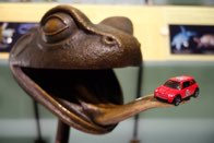 Natural History at it’s best &middot; New York, New York &middot; June 26, 2016 &middot; Ryan’s Mom