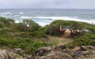 Overlook of Kuna Bay  &middot; Kauai, Hawaii &middot; April 15, 2010 &middot; Barb & Bud Chapman