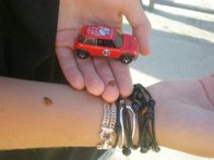 Ladybug Love &middot; Santa Monica Mtns., CA &middot; August 2010 &middot; Kim Gordon