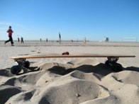 Skateboarding  &middot; Santa Monica, California &middot; January 15, 2011 &middot; Tammy Duong