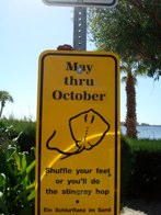 Do’n the Stingray Hop &middot; Cape Coral Beach, Florida &middot; November 14, 2010 &middot; Orlando Herrera