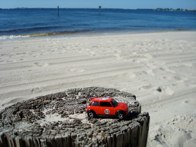 Going South for the Winter &middot; Cape Coral Beach, Florida &middot; November 14, 2010 &middot; Orlando Herrera
