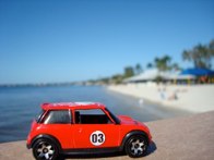 Going South for the Winter Cape Coral Beach, Florida &middot; November 14, 2010 &middot; Orlando Herrera
