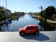 Going South for the Winter &middot; Cape Coral Beach, Florida &middot; November 14, 2010 &middot; Orlando Herrera