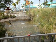 Big Bass Pro Shop  &middot; Fort Meyers, Florida &middot; December 19, 2010 &middot; Orlando Herrera