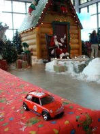 Big Bass Pro Shop  &middot; Fort Meyers, Florida &middot; December 19, 2010 &middot; Orlando Herrera