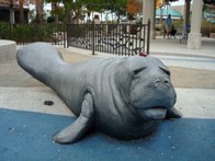 Gulf Coast Town Center &middot; Fort Meyers, Florida &middot; January 1, 2011 &middot; Orlando Herrera