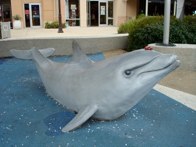 Gulf Coast Town Center &middot; Fort Meyers, Florida &middot; January 1, 2011 &middot; Orlando Herrera