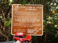 Sea Turtles look out! &middot; Marco Island, Florida &middot; December 29, 2010 &middot; Orlando Herrera