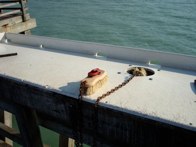 Naples Pier &middot; Naples, Florida &middot; December 29, 2010 &middot; Orlando Herrera
