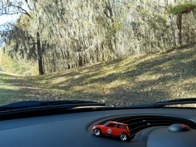Spanish moss along the Natchez Trace, Mississippi &middot; December 7, 2010 &middot; Angie Peters