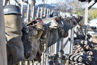 Cowboy boots on the fence, Bandera, Texas &middot; December 27, 2010 &middot; Angie Peters