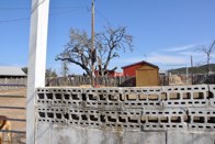 Dude ranch yard &middot; Bandera, Texas &middot; December 27, 2010 &middot; Angie Peters