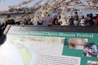 Cherry Blossom Festival &middot; Washington, DC &middot; March 26, 2016 &middot; Ryan’s Mom