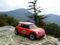 Great Smoky Mountains &middot; Tennessee &middot; August 21, 2010 &middot; Christine Miller