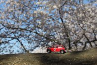Cherry Blossom Festival &middot; Washington, DC &middot; March 26, 2016 &middot; Ryan’s Mom